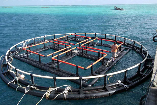 红河深海奇迹、水下牧场：探索深海养鱼网箱在水产养殖中的新可能